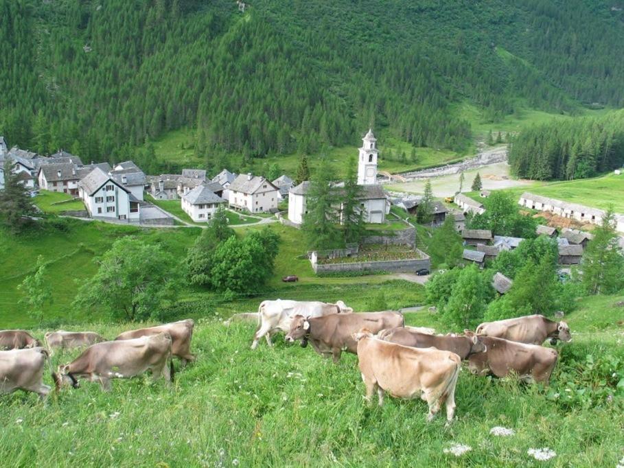 博斯克古林 吉欧万尼博斯科假日旅舍旅舍 外观 照片