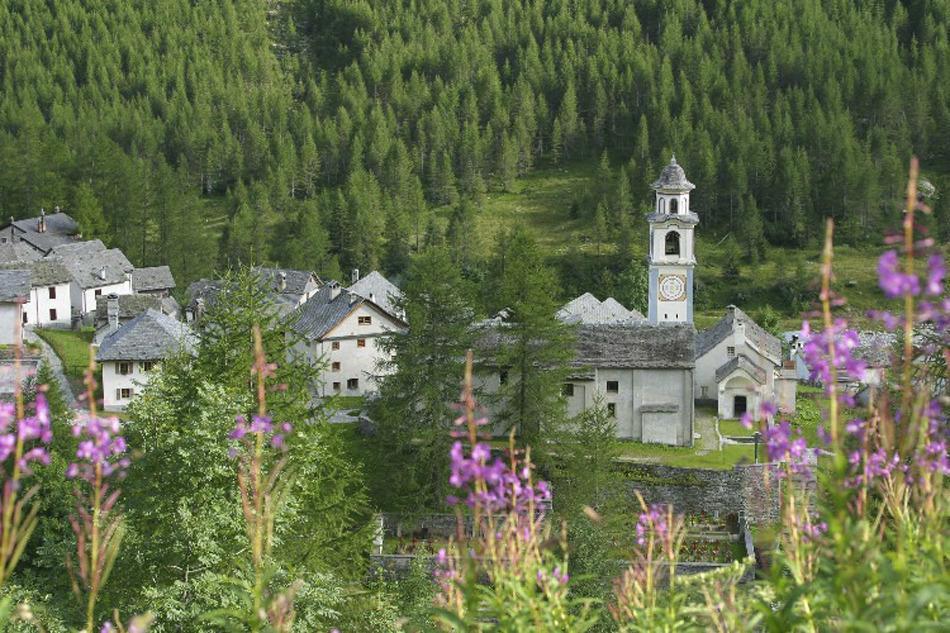 博斯克古林 吉欧万尼博斯科假日旅舍旅舍 外观 照片